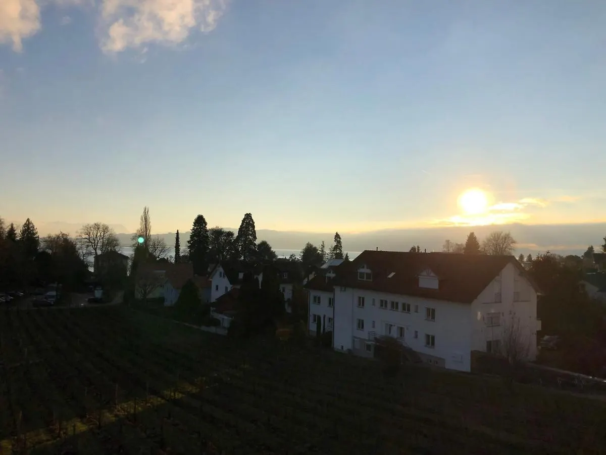 Apartment Ferienwohnungen Weingut Deufel Lindau