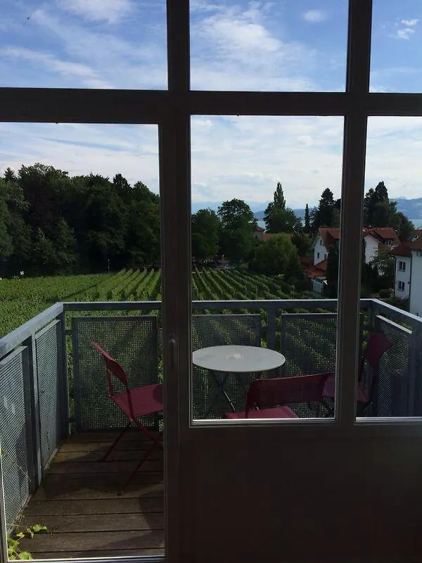 Apartment Ferienwohnungen Weingut Deufel Lindau  Germany